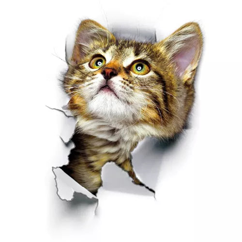 Cats 3D Wall Sticker For Home Decoration