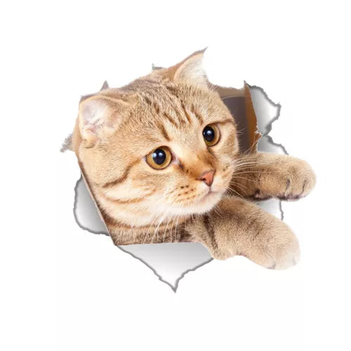 Cats 3D Wall Sticker For Home Decoration