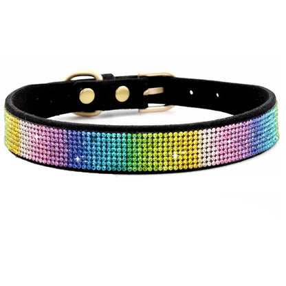 Pawsitively Posh Pet Collar