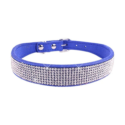 Pawsitively Posh Pet Collar