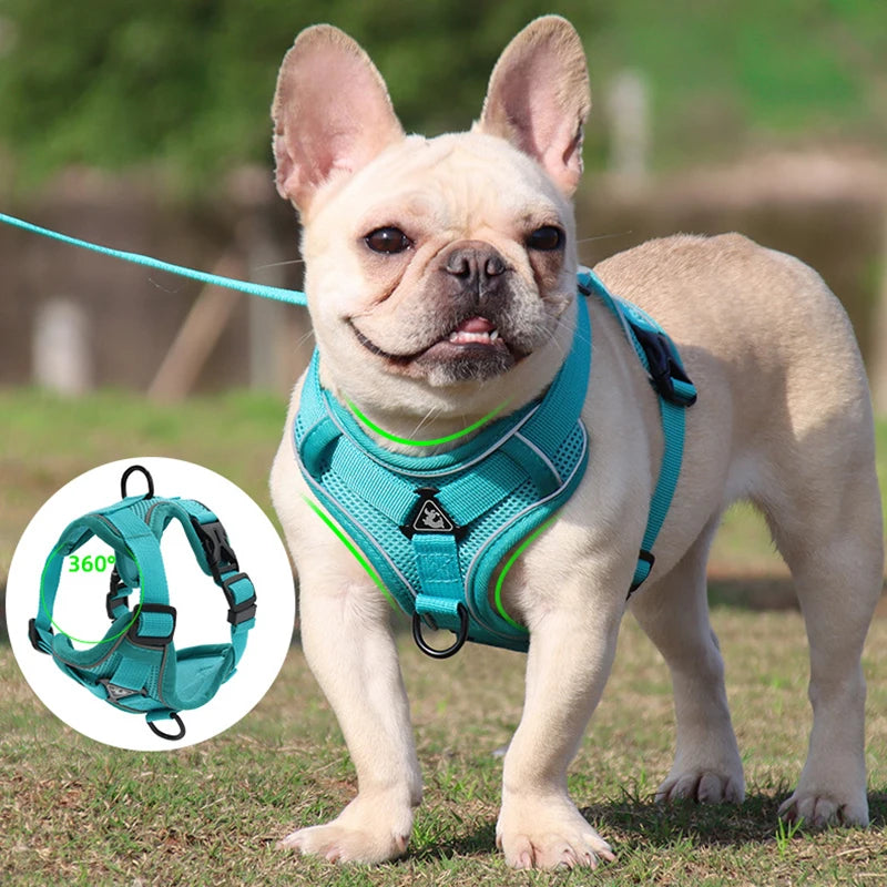 No Pull Dog Harness and Leash Set Adjustable Pet Harness