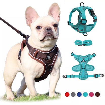 No Pull Dog Harness and Leash Set Adjustable Pet Harness