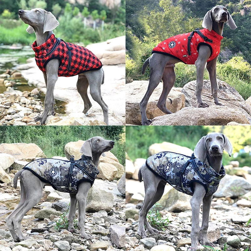 Large Pet Dog Jacket With Harness Winter Warm Dog Clothes