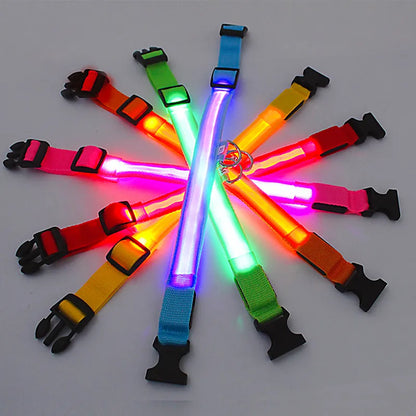 LED Glowing Dog Collar Adjustable Flashing Recharge