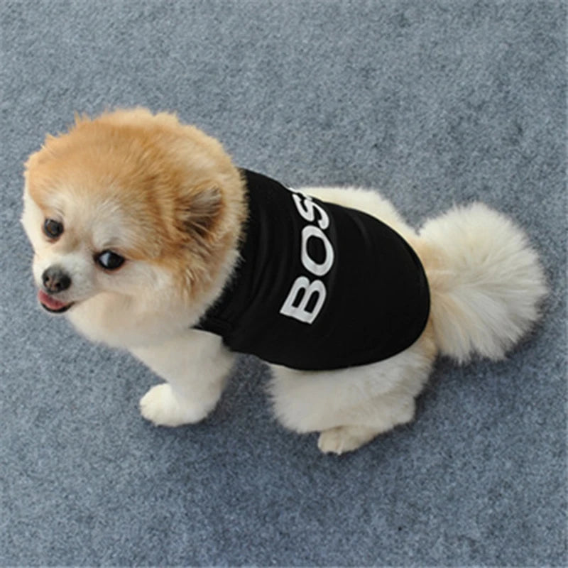 Funny Security Clothing for Dogs