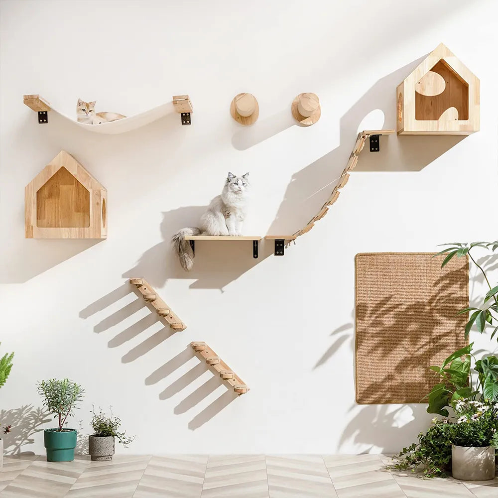 Cat Climbing Shelf Wall