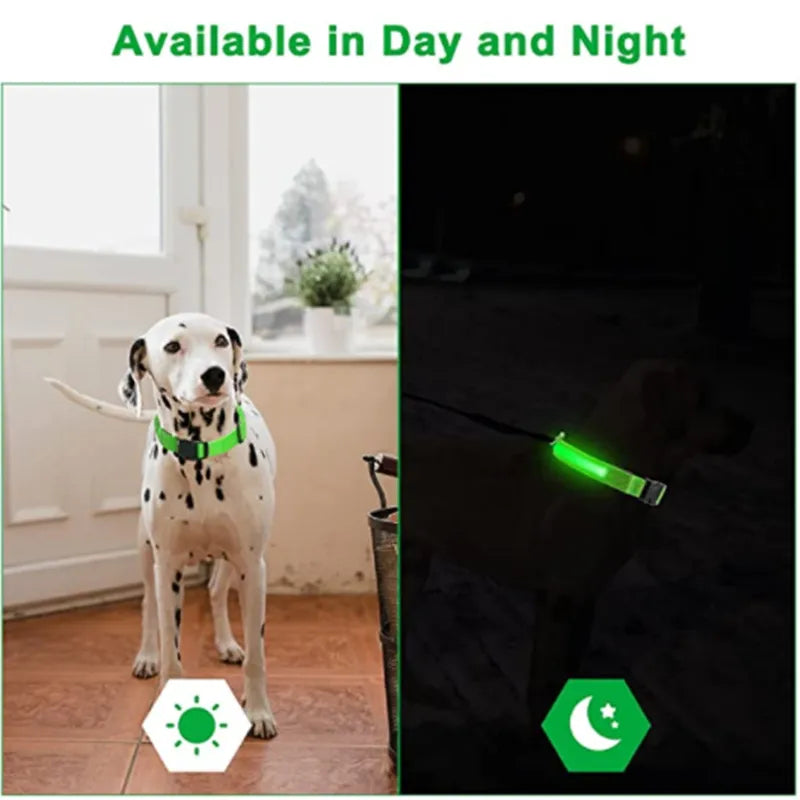 LED Glowing Dog Collar Adjustable Flashing Recharge