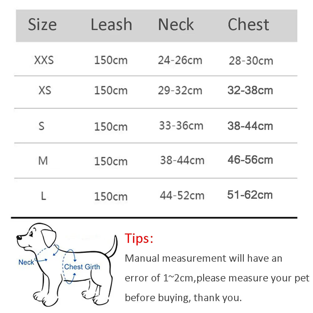 Pet Harness Leash Set