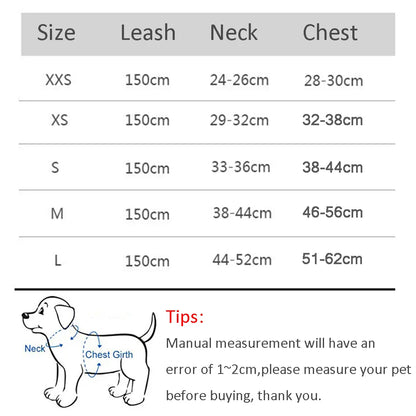 Pet Harness Leash Set