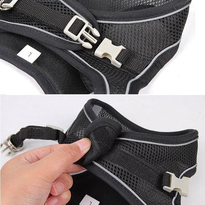 Pet Harness Leash Set