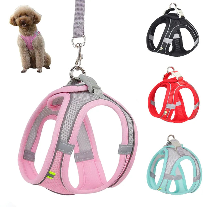 Pet Harness Leash Set