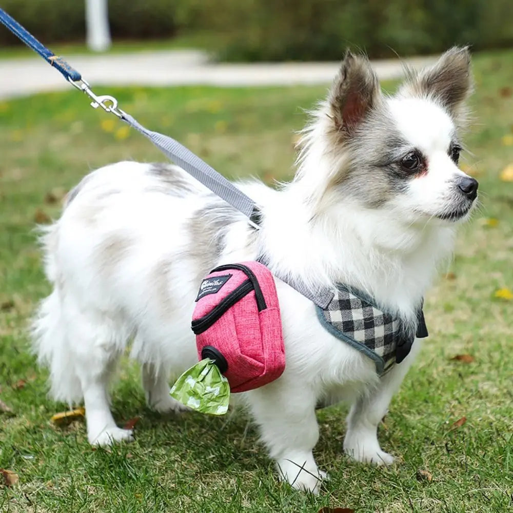 Portable Dog Training Treat Bag Outdoor