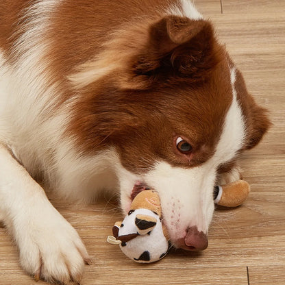 Pet Chew Toy Molar