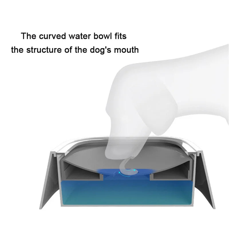 Dog Drinking Water Bowl