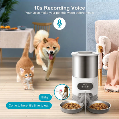 Pet Feeder Cat And Dog Food Automatic