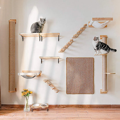 Cat Climbing Shelf Wall