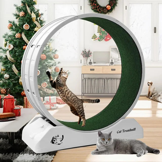 Kitty Fitness Pro Treadwheel