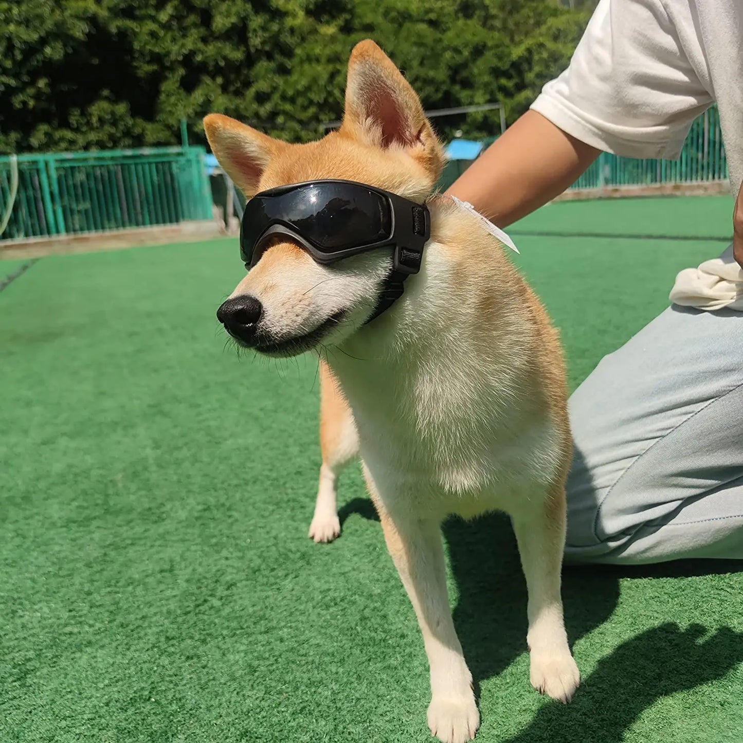 PuppyShades UV Guard Goggles