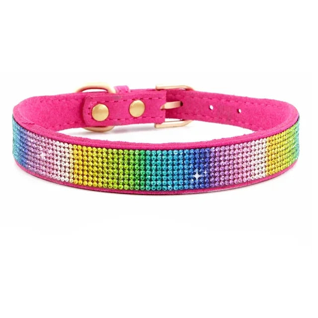 Pawsitively Posh Pet Collar