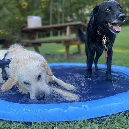 Pooch Plunge: Sprinkler Play Mat