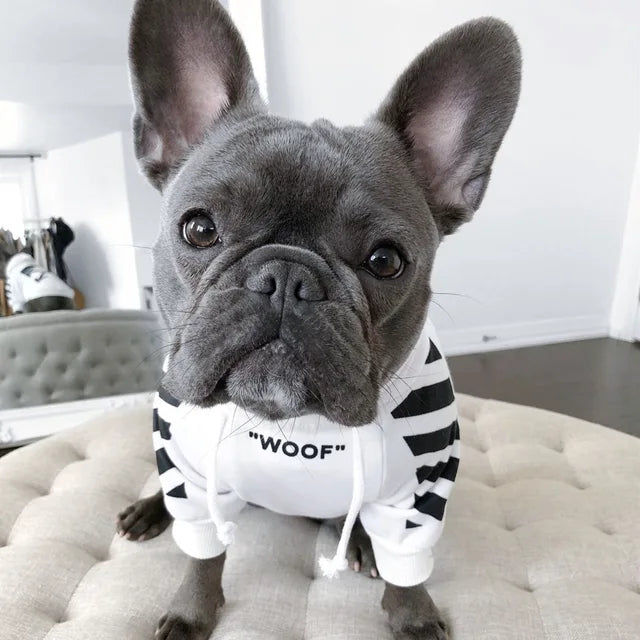 Frenchie Fashionista Hoodie