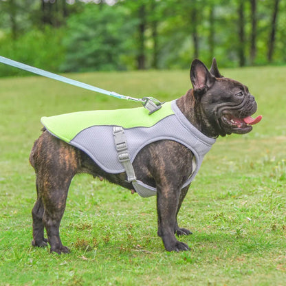 ChillPaws Cooling Dog Vest