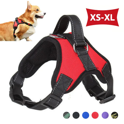 Pawsome Reflective Harness