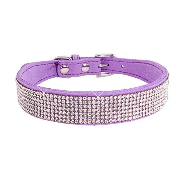 Pawsitively Posh Pet Collar