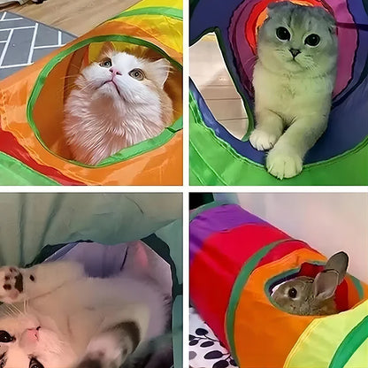 Rainbow Cat Tunnel