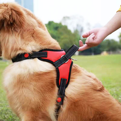 Pawsome Reflective Harness