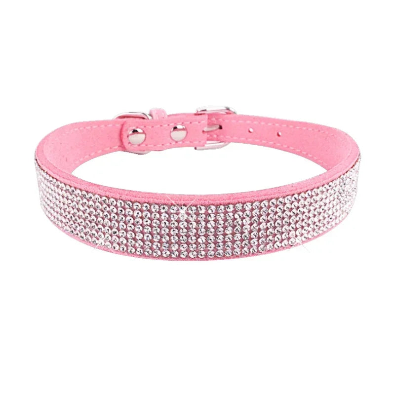 Pawsitively Posh Pet Collar