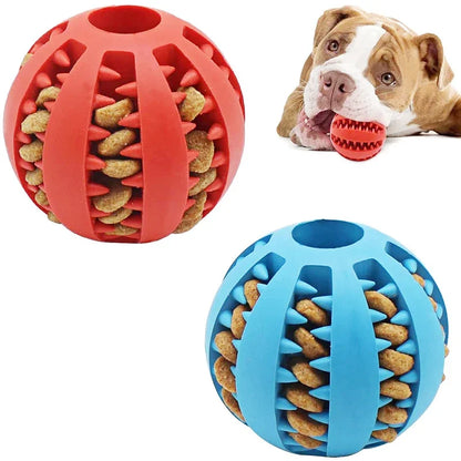 Paw-Bouncer Interactive Ball