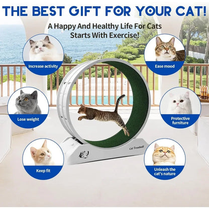 Kitty Fitness Pro Treadwheel