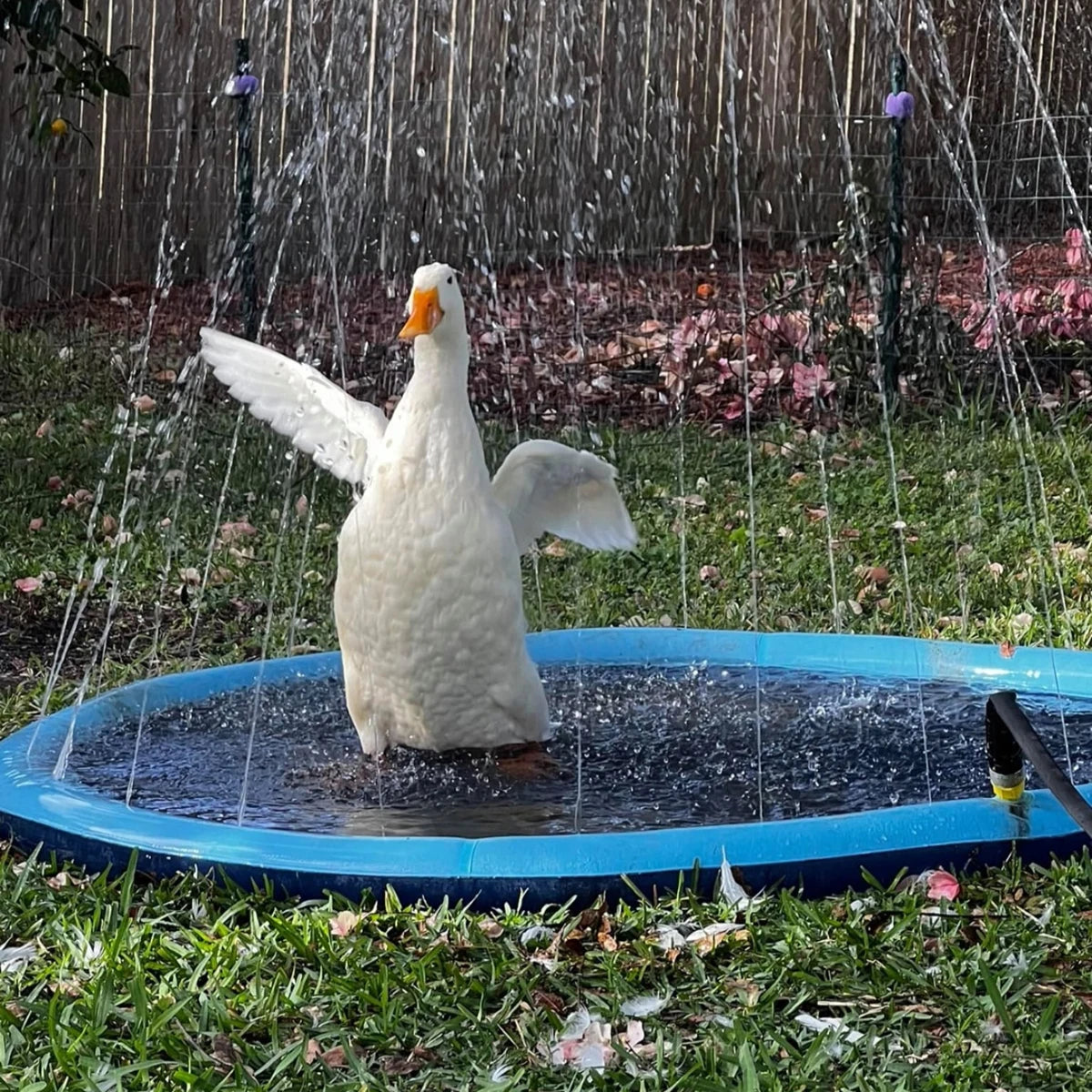 Pooch Plunge: Sprinkler Play Mat