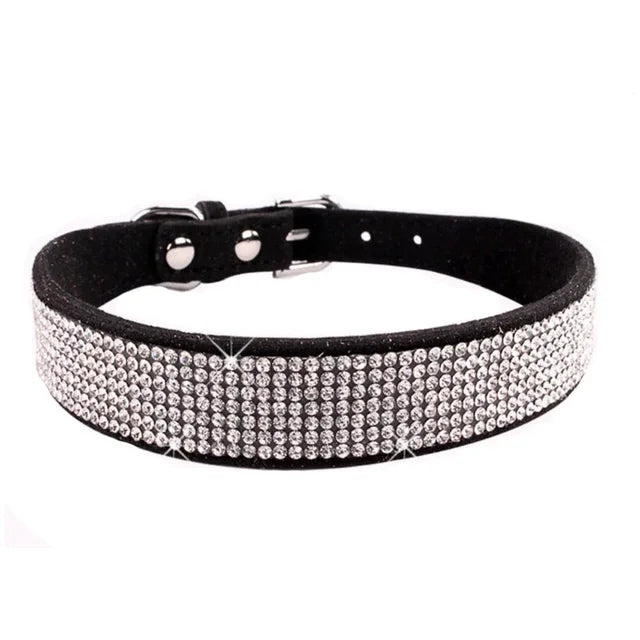 Pawsitively Posh Pet Collar