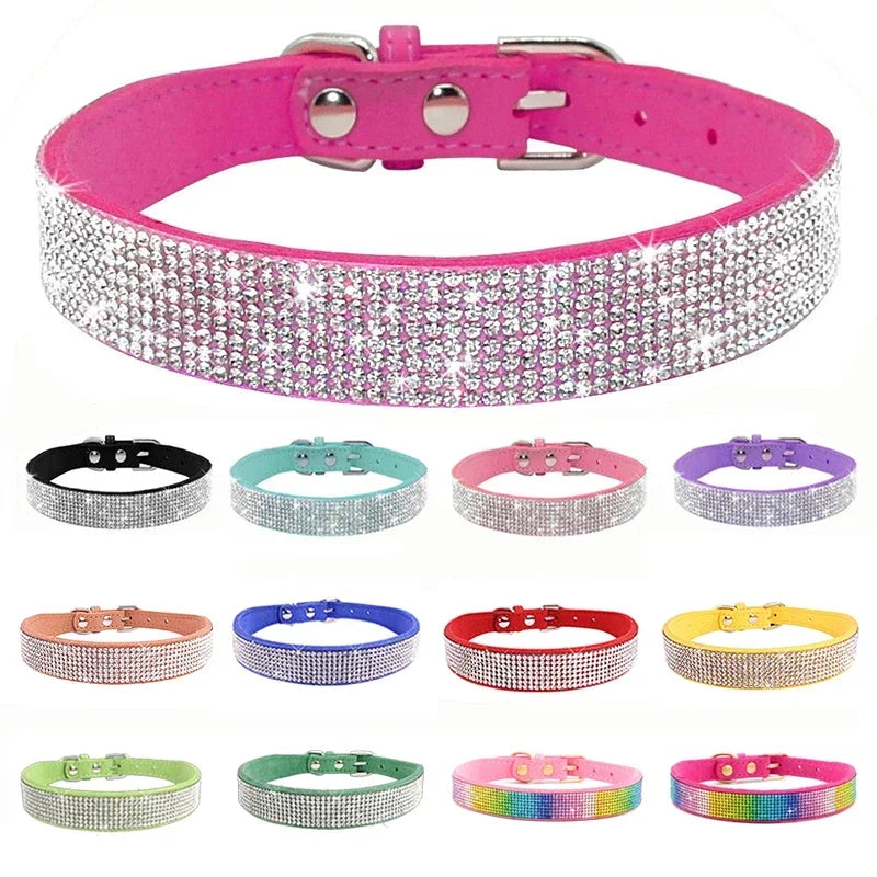 Pawsitively Posh Pet Collar