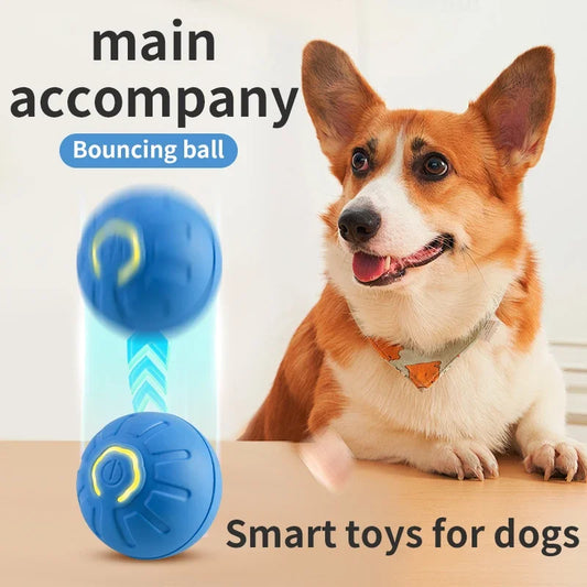 PuppyPlay Interactive Ball