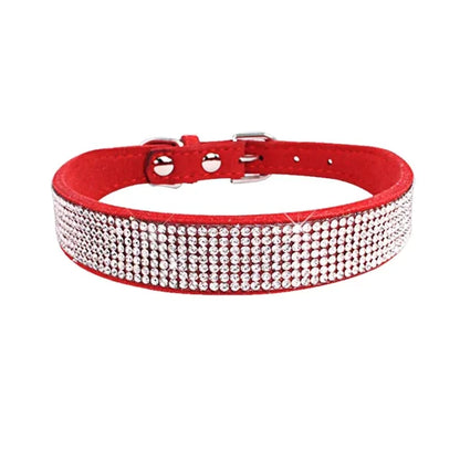 Pawsitively Posh Pet Collar