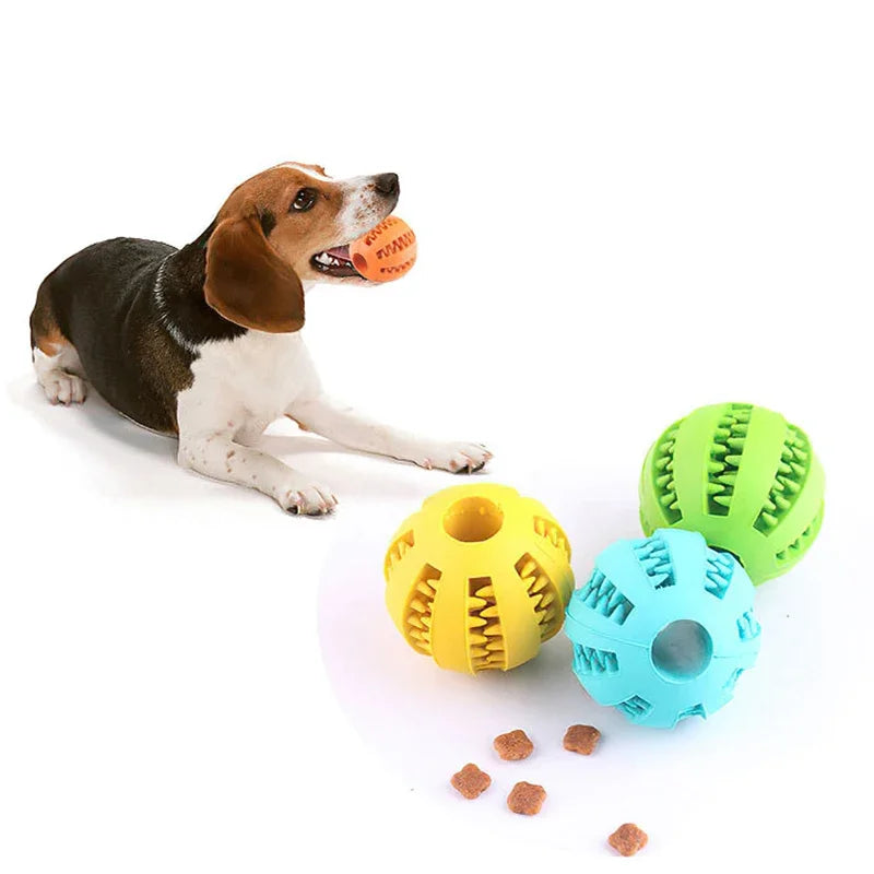 Paw-Bouncer Interactive Ball