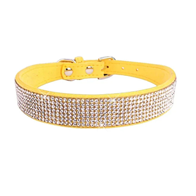 Pawsitively Posh Pet Collar