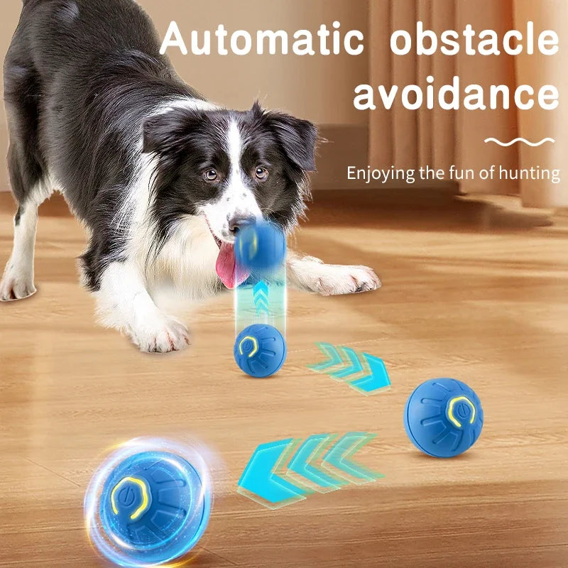 PuppyPlay Interactive Ball