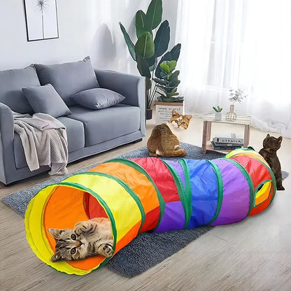 Rainbow Cat Tunnel