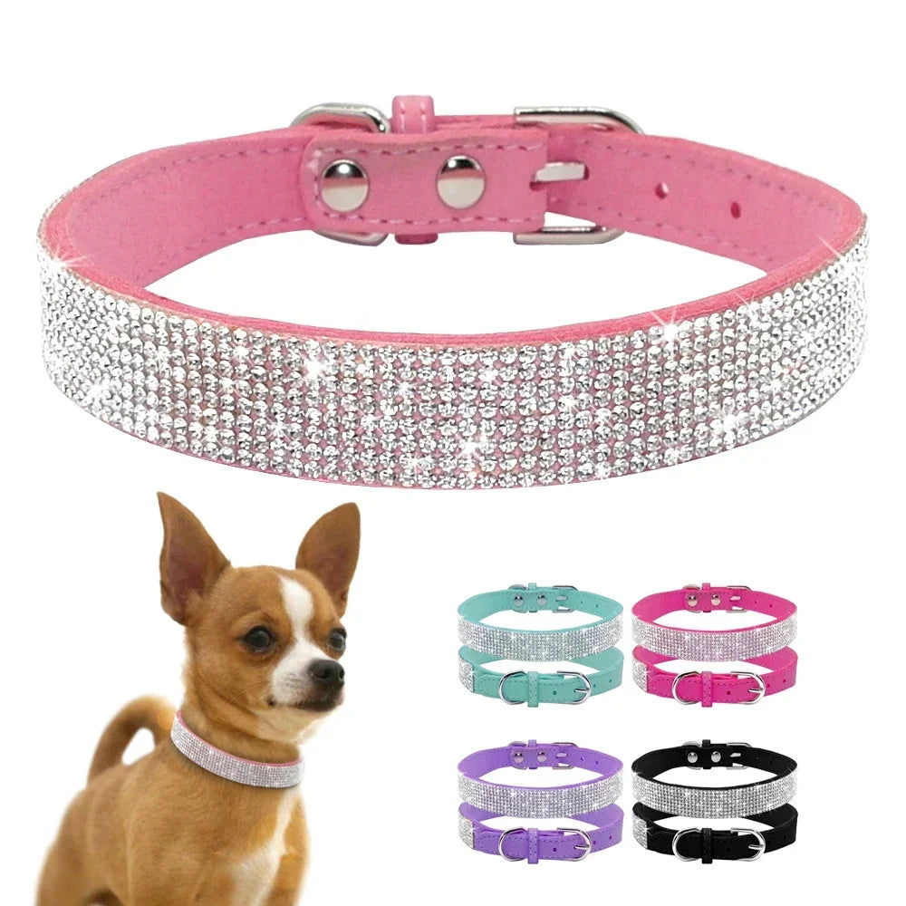 Pawsitively Posh Pet Collar